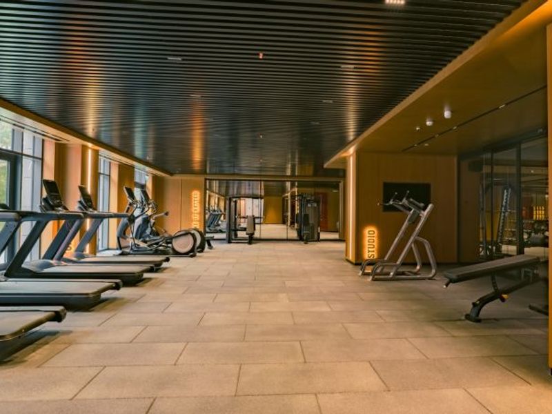 Transfer en Verblijf