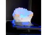 Eigen Tandtechnisch laboratium